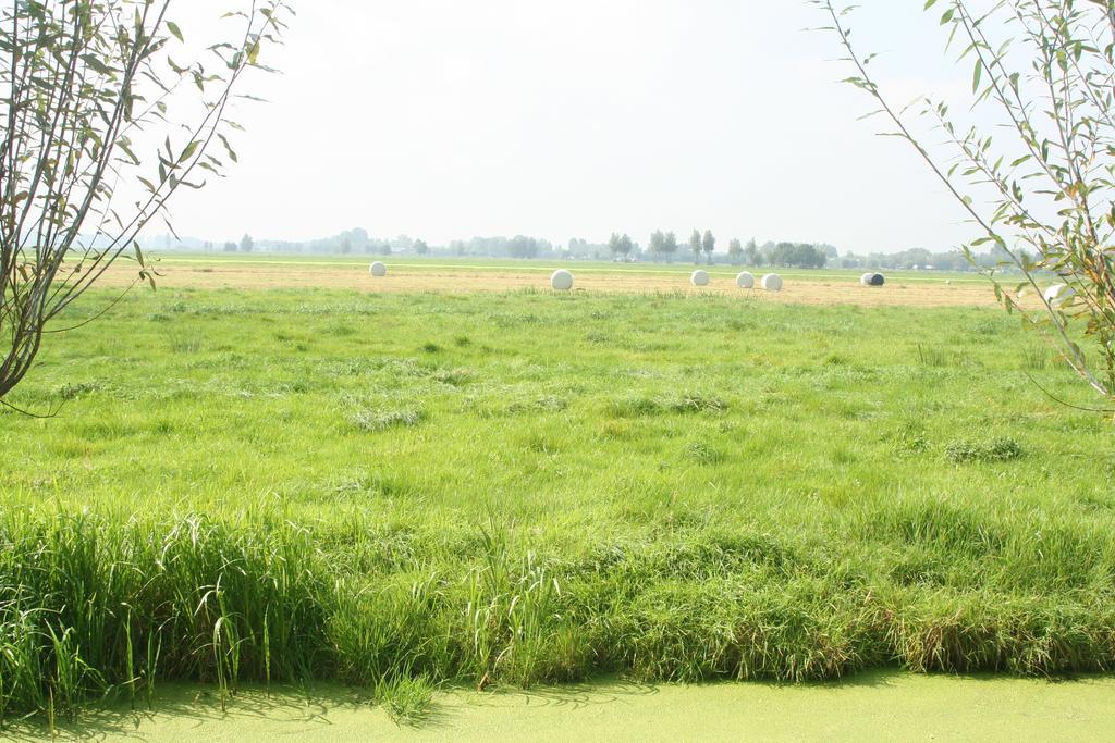 Camping De Grienduil Nieuwland  Екстериор снимка